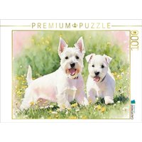 CALVENDO Puzzle West Highland White Terrier 1000 Teile Lege-Größe 64x48cm Foto-Puzzle für glückliche Stunden CALVENDO Puzzle West Highland White Terrier 1000 Teile Lege-Größe 64x48cm Foto-Puzzle für glückliche Stunden von CALVENDO Verlag GmbH