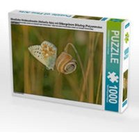 CALVENDO Puzzle Westliche Heideschnecke (Helicella itala) mit Silbergrünem Bläuling (Polyommatus coridon) 1000 Teile Lege-Größe 64 x 48 cm Foto-Puzzle von CALVENDO Verlag GmbH