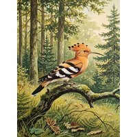 CALVENDO Puzzle Wiedehopf als Gemälde 1000 Teile Lege-Größe 64x48cm Foto-Puzzle für glückliche Stunden von Calvendo Puzzle