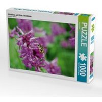 CALVENDO Puzzle Wildbiene auf Blüte. Wollbiene 1000 Teile Lege-Größe 64 x 48 cm Foto-Puzzle Bild von Anja Frost von CALVENDO Verlag GmbH