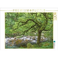CALVENDO Puzzle Wilder Fluss in üppig grüner Natur 1000 Teile Lege-Größe 64x48cm Foto-Puzzle für glückliche Stunden von CALVENDO Verlag GmbH