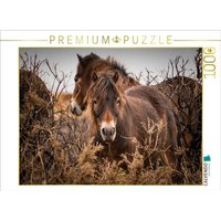 CALVENDO Puzzle Wildes, rauhes Pferdeleben 1000 Teile Lege-Größe 64x48cm Foto-Puzzle für glückliche Stunden von Calvendo Puzzle