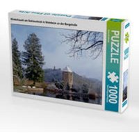 CALVENDO Puzzle Winterhauch am Schlossteich in Weinheim an der Bergstraße 1000 Teile Lege-Größe 64 x 48 cm Foto-Puzzle Bild von Ilona Andersen von Calvendo Puzzle