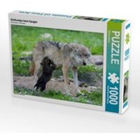 CALVENDO Puzzle Wolfswelpe beim Saugen 1000 Teile Lege-Größe 64 x 48 cm Foto-Puzzle Bild von Wilfried Martin von Calvendo Puzzle