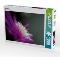 CALVENDO Puzzle Zarte Blätter 1000 Teile Lege-Größe 64 x 48 cm Foto-Puzzle Bild von Martina Marten von Calvendo Puzzle