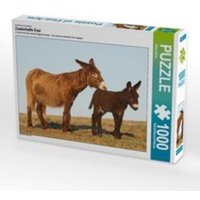 CALVENDO Puzzle Zauberhafte Esel 1000 Teile Lege-Größe 64 x 48 cm Foto-Puzzle Bild von Meike Bölts von xxx