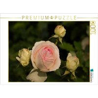 CALVENDO Puzzle Zauberhafte Rosen 1000 Teile Lege-Größe 64x48cm Foto-Puzzle für glückliche Stunden von CALVENDO Verlag GmbH