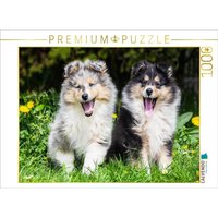 CALVENDO Puzzle Zwei, die hinaus wollen in die Welt 1000 Teile Lege-Größe 64x48cm Foto-Puzzle für glückliche Stunden CALVENDO Puzzle Zwei, die hinaus wollen in die Welt 1000 Teile Lege-Größe 64x48cm Foto-Puzzle für glückliche Stunden von Calvendo Puzzle