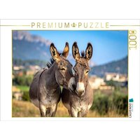 CALVENDO Puzzle Zwei Eselfreunde 1000 Teile Lege-Größe 64x48cm Foto-Puzzle für glückliche Stunden von Calvendo Puzzle