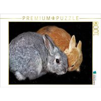 CALVENDO Puzzle Zwei Kaninchen 1000 Teile Lege-Größe 64x48cm Foto-Puzzle für glückliche Stunden CALVENDO Puzzle Zwei Kaninchen 1000 Teile Lege-Größe 64x48cm Foto-Puzzle für glückliche Stunden von CALVENDO Verlag GmbH
