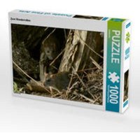 CALVENDO Puzzle Zwei Wanderratten 1000 Teile Lege-Größe 64 x 48 cm Foto-Puzzle Bild von kattobello von Calvendo Puzzle