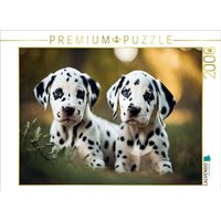 CALVENDO Puzzle Zwei goldige Dalmatiner Welpen 2000 Teile Lege-Größe 90x67cm Foto-Puzzle für glückliche Stunden CALVENDO Puzzle Zwei goldige Dalmatiner Welpen 2000 Teile Lege-Größe 90x67cm Foto-Puzzle für glückliche Stunden von Calvendo Puzzle