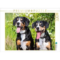 CALVENDO Puzzle Zwei gute Freunde 1000 Teile Lege-Größe 64x48cm Foto-Puzzle für glückliche Stunden von CALVENDO Verlag GmbH