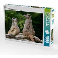CALVENDO Puzzle Zwei kleine Wachposten 1000 Teile Lege-Größe 64x48cm Foto-Puzzle für glückliche Stunden von Calvendo Puzzle