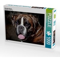 Charakter Boxer (Puzzle) von Calvendo Puzzle