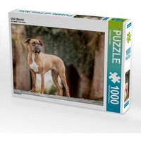 Chili (Boxer) (Puzzle) von Calvendo Puzzle