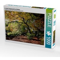 Der Herbst in voller Farbenpracht, 1000 Teile Der Herbst in voller Farbenpracht, 1000 Teile von Calvendo Puzzle