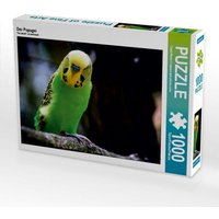 Der Papagei (Puzzle) von Calvendo Puzzle