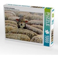 CALVENDO Puzzle Der Wolf im Schafspelz 1000 Teile Lege-Größe 64x48cm Foto-Puzzle für glückliche Stunden von Calvendo Puzzle