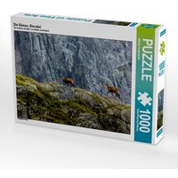 Die Gämse, Slovakei (Puzzle) von Calvendo Puzzle