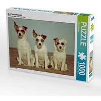 Drei Terrierhippies (Puzzle) von Calvendo Puzzle