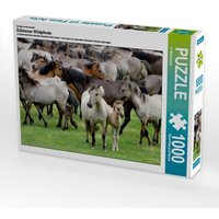 Dülmener Wildpferde mit Stute und Fohlen, 1000 Teile Dülmener Wildpferde mit Stute und Fohlen, 1000 Teile von Calvendo Puzzle