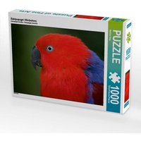 Edelpapagei (Weibchen) (Puzzle) von Calvendo Puzzle