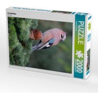 CALVENDO Puzzle Eichelhäher 2000 Teile Lege-Größe 67 x 90 cm Foto-Puzzle Bild von Dieter-M. Wilczek von Calvendo