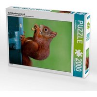 Eichhörnchen ganz nah (Puzzle) von Calvendo Puzzle