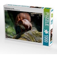 Eichhörnchen im Licht (Puzzle) von Calvendo Puzzle