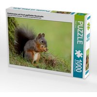 Eichhörnchen mit frisch gepflückter Nusstraube. (Puzzle) von Calvendo Puzzle