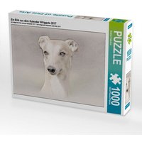 Ein Bild aus dem Kalender Whippets 2017 (Puzzle) von Calvendo Puzzle