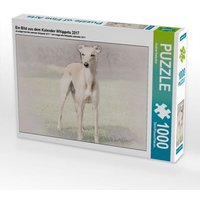 Ein Bild aus dem Kalender Whippets 2017 (Puzzle) von Calvendo Puzzle