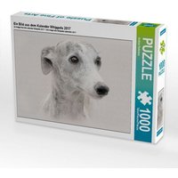 Ein Bild aus dem Kalender Whippets 2017 (Puzzle) von Calvendo Puzzle