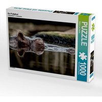Ein Flußpferd (Puzzle) von Calvendo Puzzle