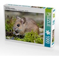 Ein Motiv aus dem Kalender ... hier kommt die Maus ... (Puzzle) von Calvendo Puzzle