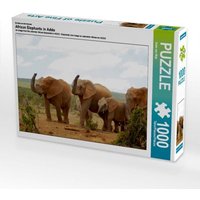 Ein Motiv aus dem Kalender African Elephants in Addo (Puzzle) von Calvendo Puzzle