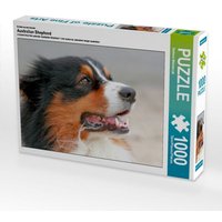 Ein Motiv aus dem Kalender Australian Shepherd (Puzzle) von Calvendo Puzzle