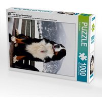 Ein Motiv aus dem Kalender BÄR - Der Berner Sennenhund (Puzzle) von Calvendo Puzzle