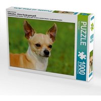 Ein Motiv aus dem Kalender Chihuahua - Kleine Hunde ganz groß (Puzzle) von Calvendo Puzzle