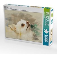 Ein Motiv aus dem Kalender Chihuahuas 2017 (Puzzle) von Calvendo Puzzle
