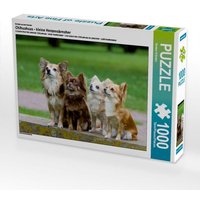 Ein Motiv aus dem Kalender Chihuahuas - kleine Herzensbrecher (Puzzle) von Calvendo Puzzle