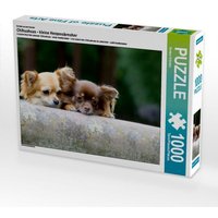 Ein Motiv aus dem Kalender Chihuahuas - kleine Herzensbrecher (Puzzle) von Calvendo Puzzle