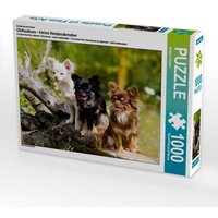 Ein Motiv aus dem Kalender Chihuahuas - kleine Herzensbrecher (Puzzle) von Calvendo Puzzle