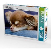 Ein Motiv aus dem Kalender Chihuahuas - kleine Herzensbrecher (Puzzle) von Calvendo Puzzle
