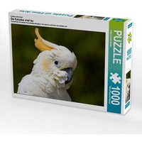 Ein Motiv aus dem Kalender Die Kakadus sind los (Puzzle) von Calvendo Puzzle