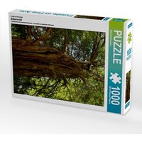 Ein Motiv aus dem Kalender Eibenwald (Puzzle) von Calvendo Puzzle