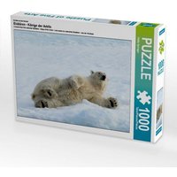 Ein Motiv aus dem Kalender Eisbären - Könige der Arktis (Puzzle) von Calvendo Puzzle