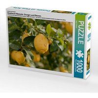 CALVENDO Puzzle Ein Motiv aus dem Kalender Emotionale Momente: Orangen und Zitronen. 1000 Teile Lege-Größe 64x48cm Foto-Puzzle für glückliche Stunden von Calvendo Puzzle