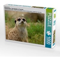 Ein Motiv aus dem Kalender Erdmännchen - Die Kobolde im Tierreich (Puzzle) von Calvendo Puzzle
